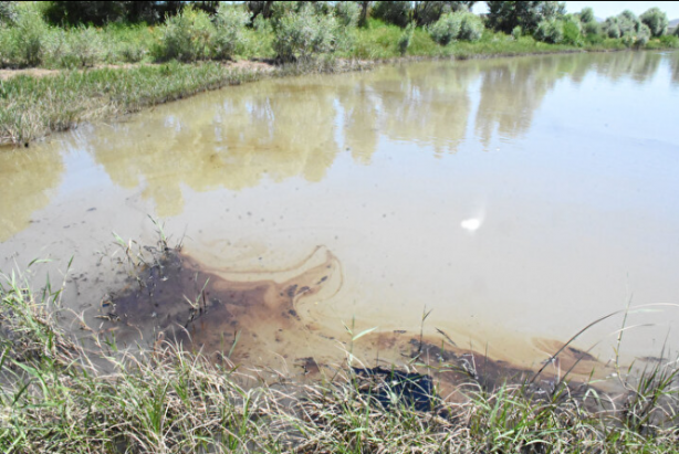Foto - Kızılırmak Nehri'nde inceleme başlatıldı