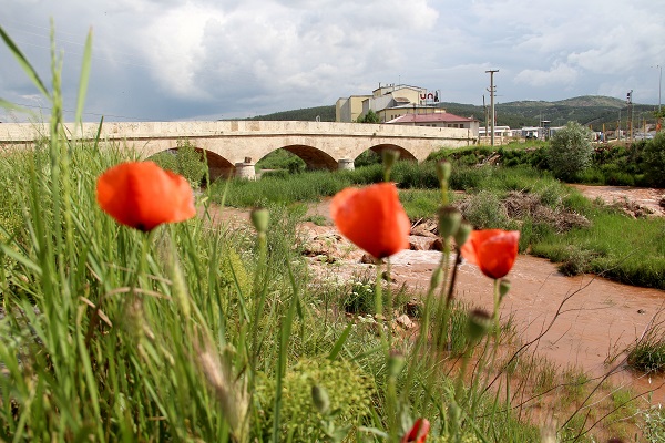 Foto - Kızılırmak'a rengini veren çay coştu