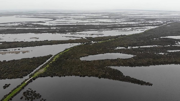 Foto - Kızılırmak'tan toplanıyor! İlmek ilmek işleniyor