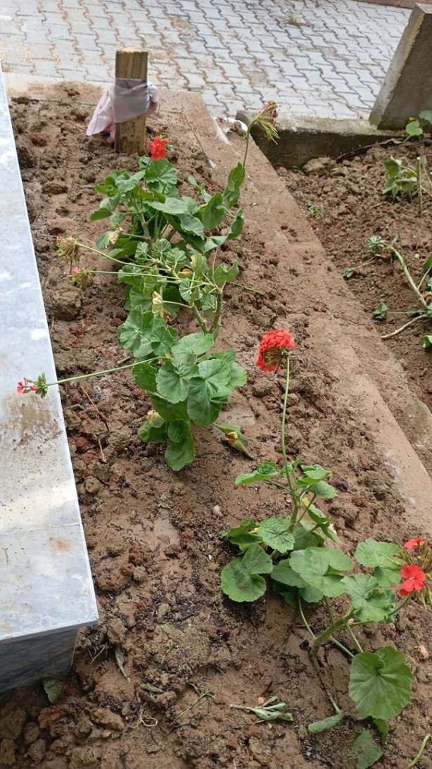 Foto - 'Kızımı saçından bile tanırım!' Depremzede anne kızını arıyor