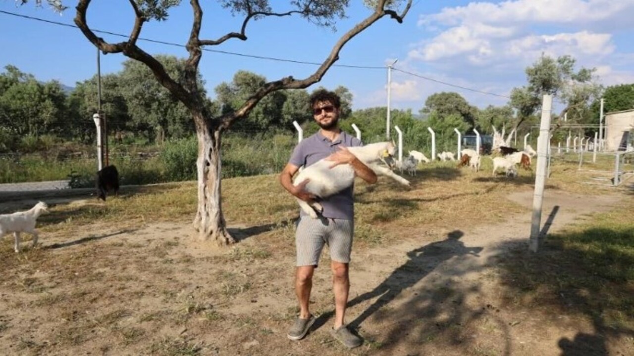 Foto - Kızına taze süt içirmek istedi hayatı değişti! 2 üniversite mezunu doktora eğitimli çoban