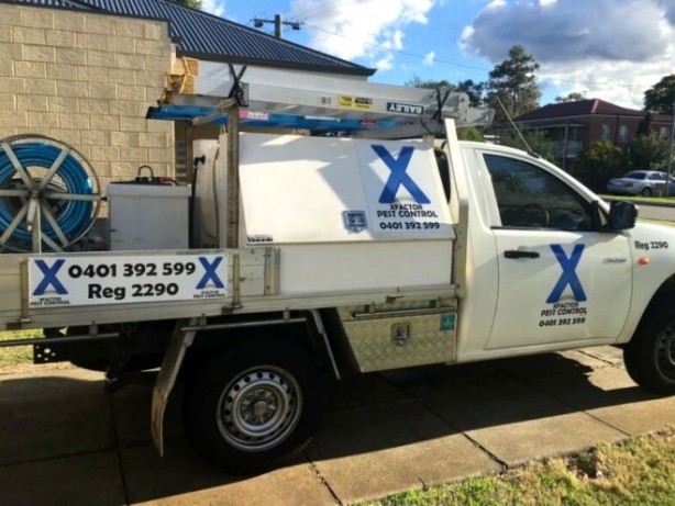 Foto - Kızının fotoğrafını çekti! 2 saniye sonra çığlıklarına hakim olamadı