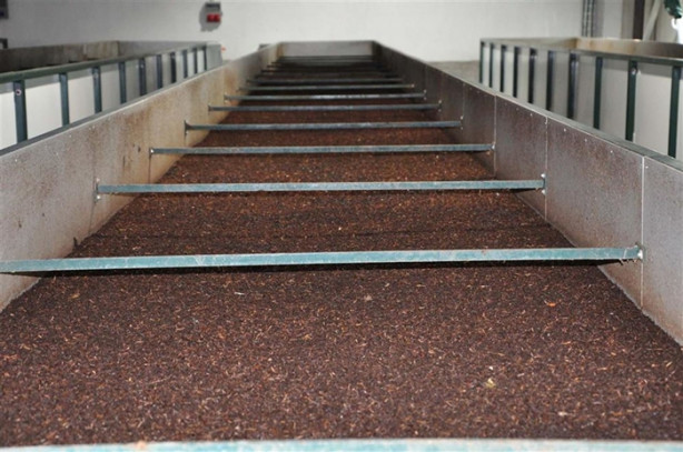 Foto - Kızının hastalığı yüzünden başladı, şimdi dünyaya ihraç ediyor