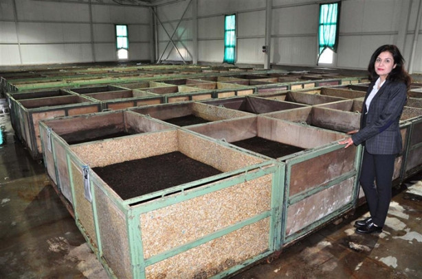 Foto - Kızının hastalığı yüzünden başladı, şimdi dünyaya ihraç ediyor