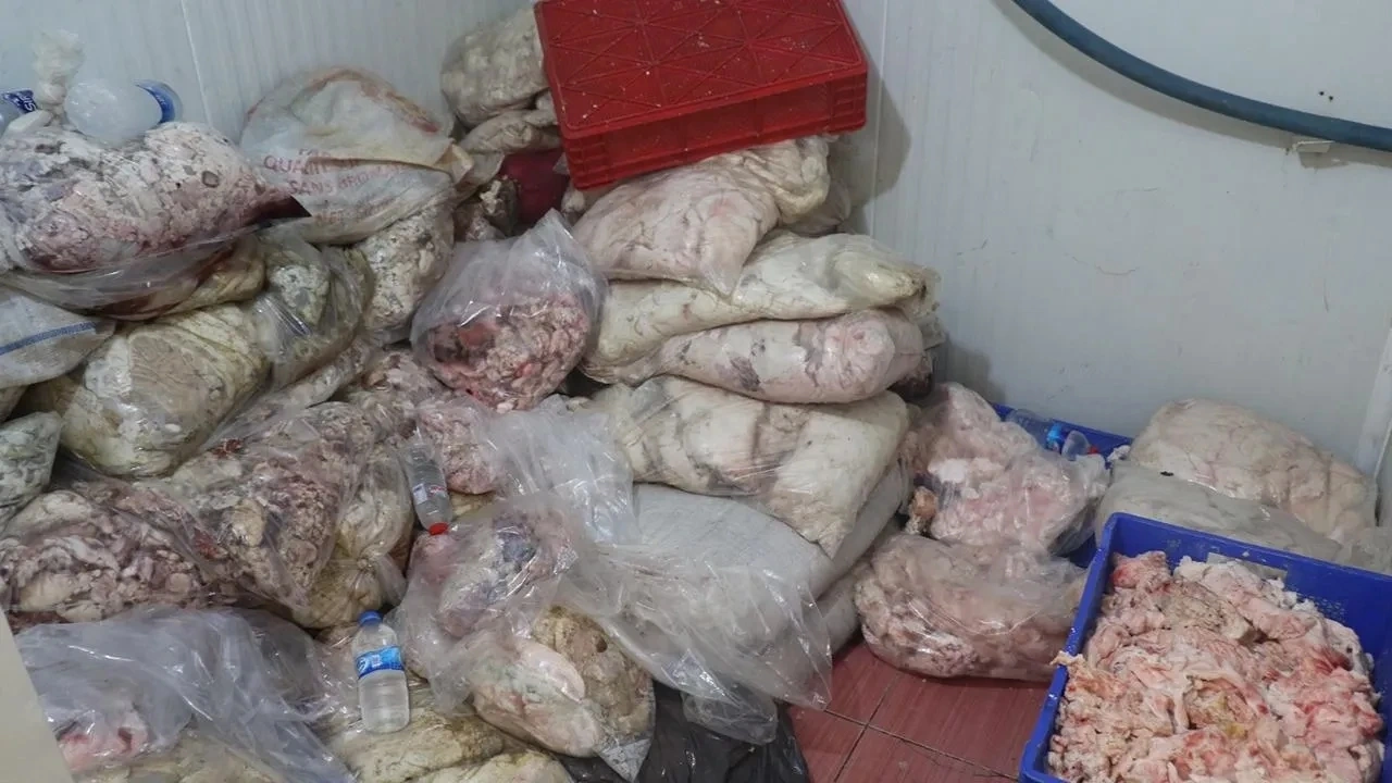 Koca bir şehrimizi karıştıran görüntü! Yakalanmasaydı, bize löpür löpür yedireceklerdi