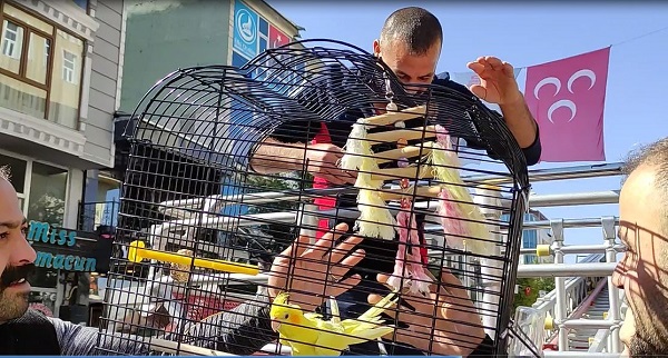 Foto - Koca il 'Limon' için seferber oldu