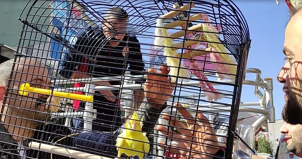 Foto - Koca il 'Limon' için seferber oldu