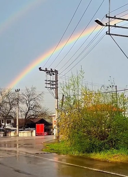 Foto - Kocaeli'de 1 günde 4 mevsim!