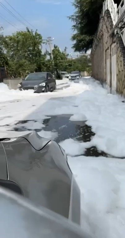 Kocaeli'de hayrete düşüren görüntü! Nedenini kimse bilmiyor