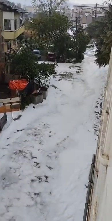 Foto - Kocaeli'de hayrete düşüren görüntü! Nedenini kimse bilmiyor