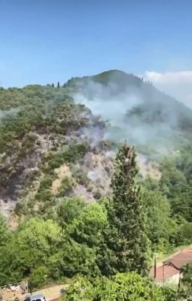 Foto - Kocaeli'de orman yangını! 1 kişi gözaltına alındı