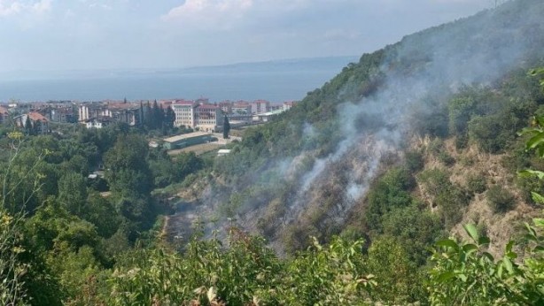 Kocaeli'de orman yangını! 1 kişi gözaltına alındı
