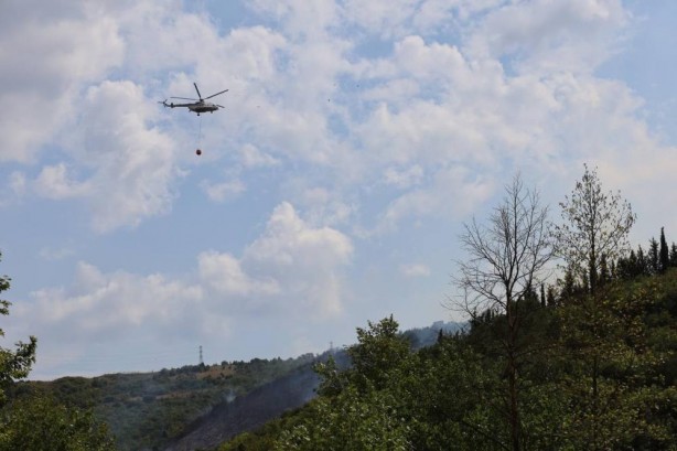 Kocaeli'de orman yangını