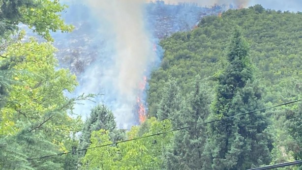 Foto - Kocaeli'de orman yangını