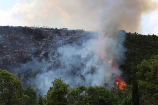 Foto - Kocaeli'de orman yangını