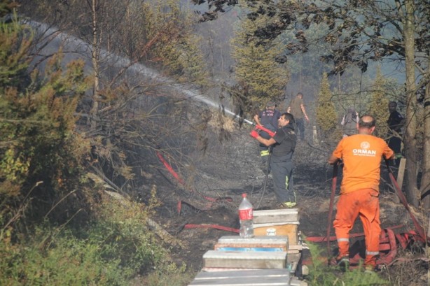 Foto - Kocaeli'de örtü yangını
