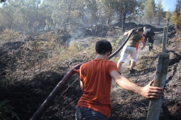 Kocaeli'de örtü yangını