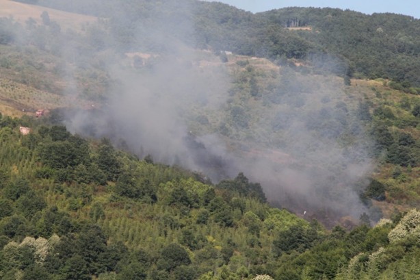 Foto - Kocaeli'de örtü yangını