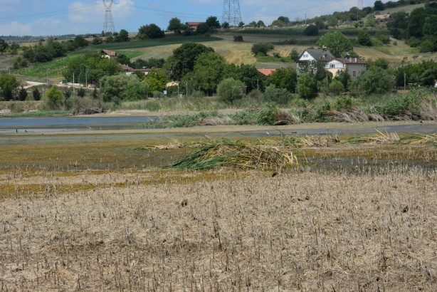Foto - Kocaeli'deki Gölkay Park'ta korkutan görüntü