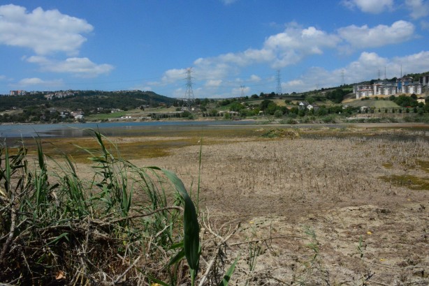 Foto - Kocaeli'deki Gölkay Park'ta korkutan görüntü