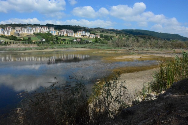 Foto - Kocaeli'deki Gölkay Park'ta korkutan görüntü