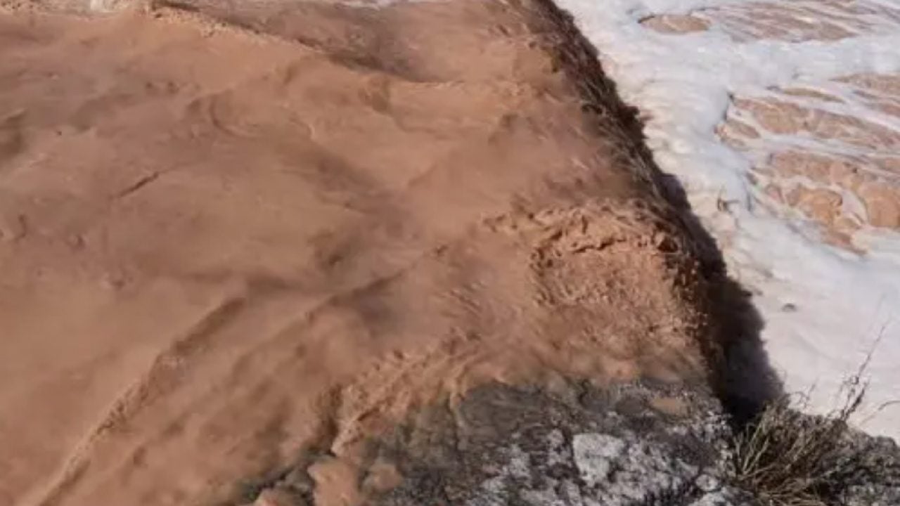 Kocaeli'ndeki görüntünün gizemi çözülemedi! İddialar korkunç!