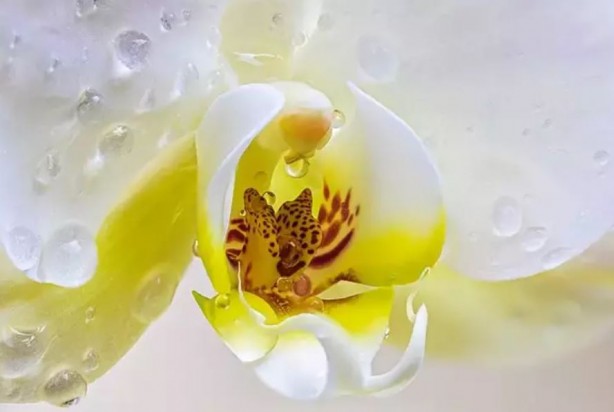 Foto - Koklayanların beyni Einstein'a kafa tutuyor! Bilim insanları açıkladı