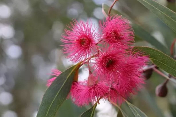 Foto - Koklayanların beyni Einstein'a kafa tutuyor! Bilim insanları açıkladı