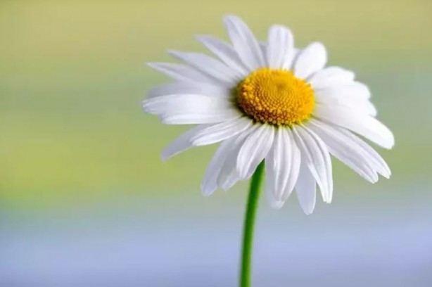 Foto - Koklayanların beyni Einstein'a kafa tutuyor! Bilim insanları açıkladı