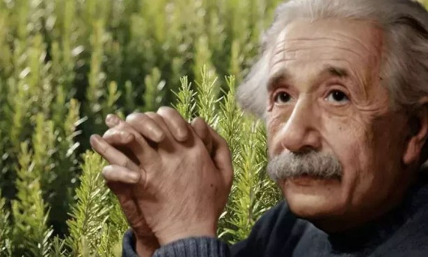Koklayanların beyni Einstein'a kafa tutuyor! Bilim insanları açıkladı