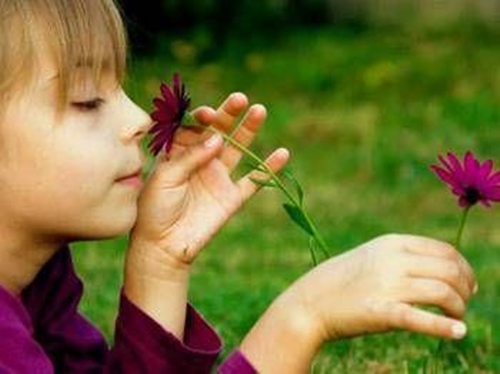 Foto - Koku alma becerinizi bakın ne etkiliyor...