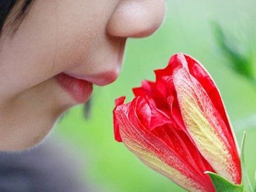 Foto - Koku alma becerinizi bakın ne etkiliyor...