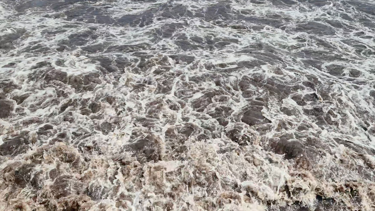 Koku keyifleri kaçırdı! Marmara Denizi kızıla büründü