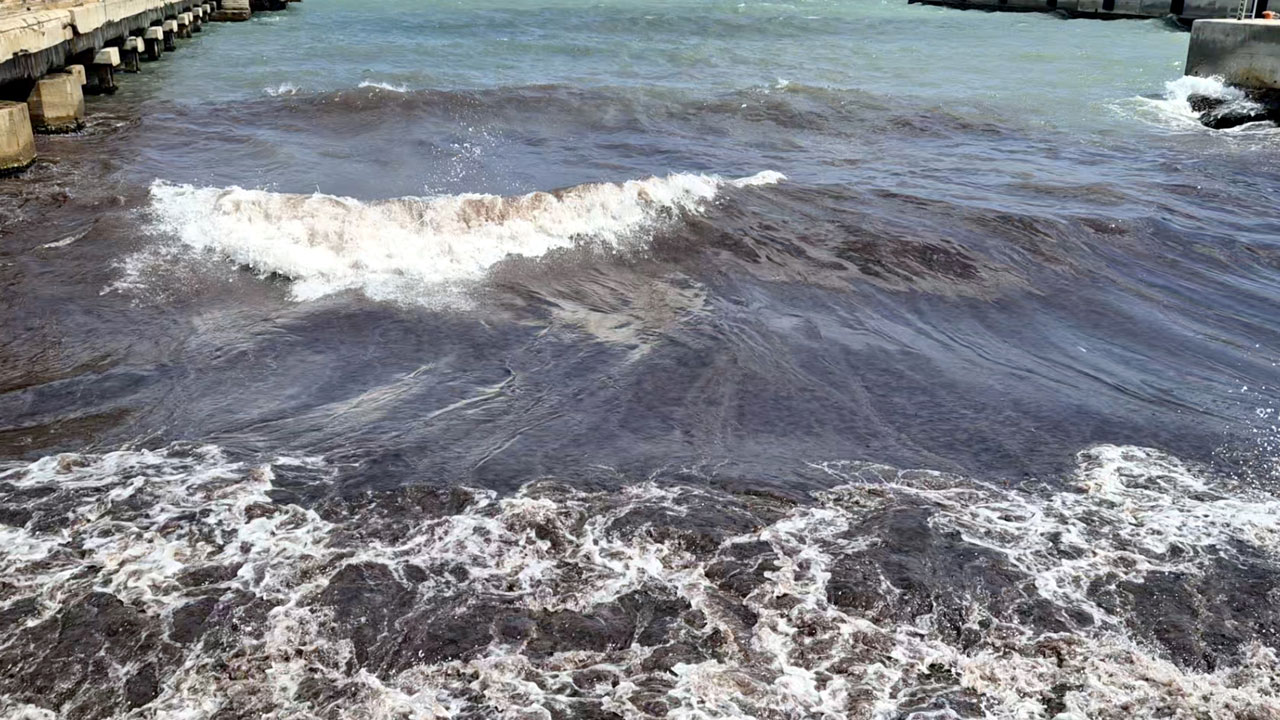 Foto - Koku keyifleri kaçırdı! Marmara Denizi kızıla büründü
