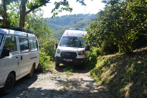 Foto - Kökünden kopan incir ağacı yaşlı adamın sonu oldu