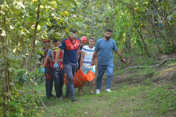 Foto - Kökünden kopan incir ağacı yaşlı adamın sonu oldu