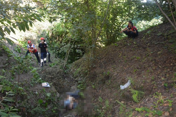 Foto - Kökünden kopan incir ağacı yaşlı adamın sonu oldu