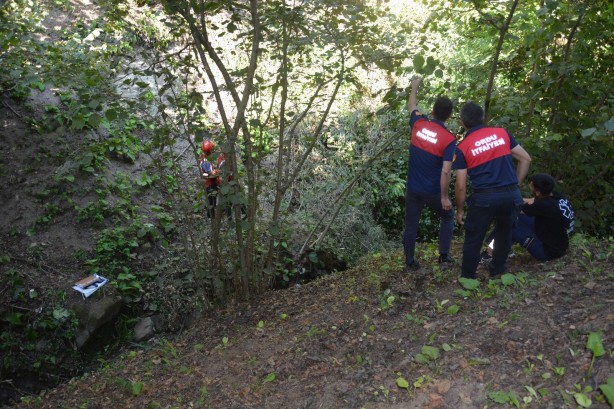 Kökünden kopan incir ağacı yaşlı adamın sonu oldu
