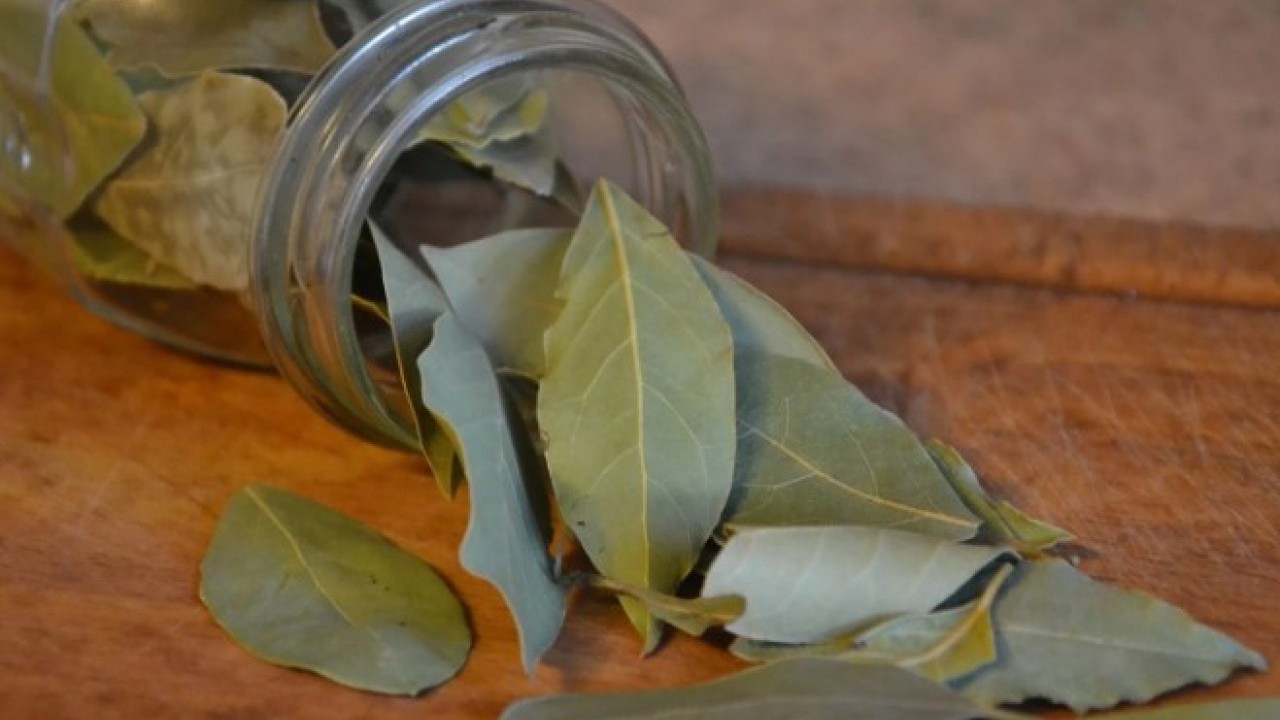 Foto - Kokusunu alır almaz kaçacaklar! Gümüş böcekleri evden uzaklaştırmanın kolay yolu