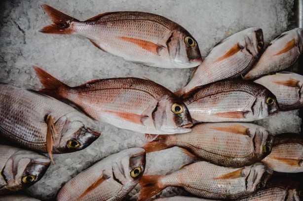 Foto - Kolajen çeşmesi gibi! Kırışıklıkları silgi gibi siliyor