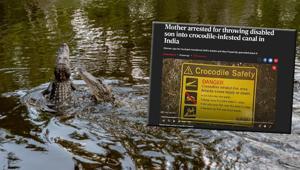 Foto - Kolajen içeren 8 süper besin! Cilde, kaslara, kemiklere ve bağ dokusuna yapı kazandırıyor…