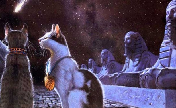 Foto - Kölelere bal sürüp satıyorlardı!