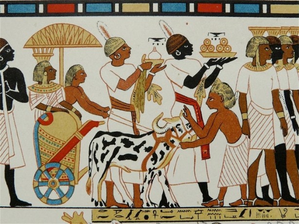 Foto - Kölelere bal sürüp satıyorlardı!