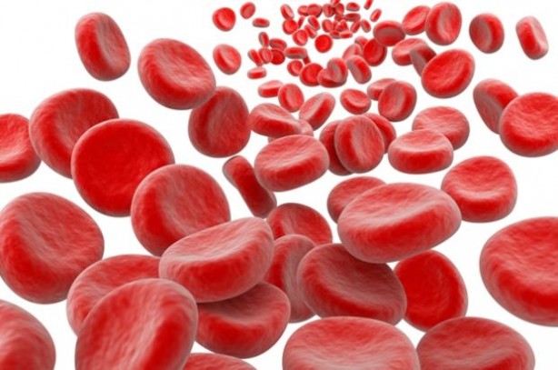 Foto - Kolesterole karşı koyan 7 besin grubu