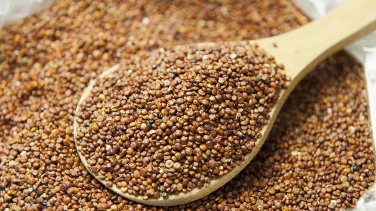 Foto - Kolesterolü düşüren kahvaltı önerisi! Uzmanlardan kritik uyarı