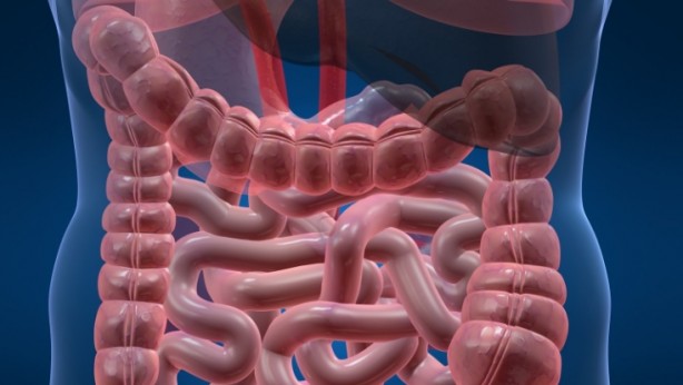 Foto - Kolesterolün ilacı bu besin! İbrahim Saraçoğlu öneriyor