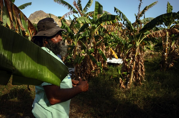 Foto - Kolombiya'da 14 Mayıs Dünya Çiftçiler Günü