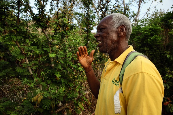 Foto - Kolombiya'da 14 Mayıs Dünya Çiftçiler Günü