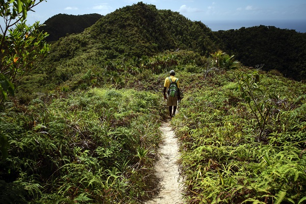 Foto - Kolombiya'da 14 Mayıs Dünya Çiftçiler Günü