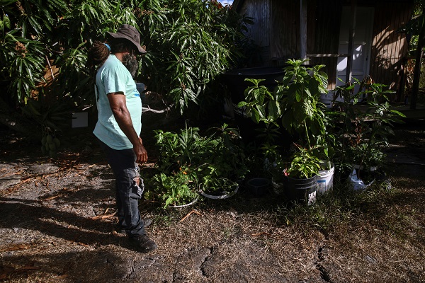 Foto - Kolombiya'da 14 Mayıs Dünya Çiftçiler Günü
